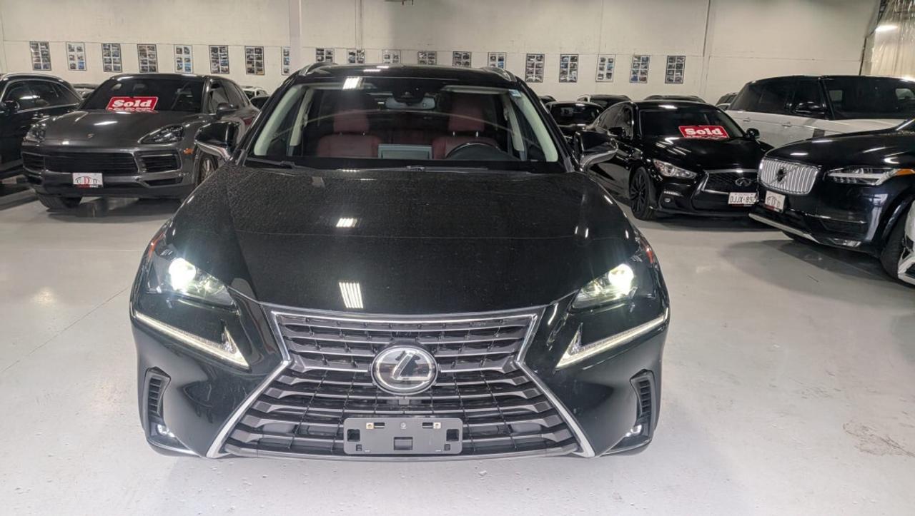 2021 Lexus NX 300 Luxury AWD   Red Leather   Sunroof   Navigation Photo