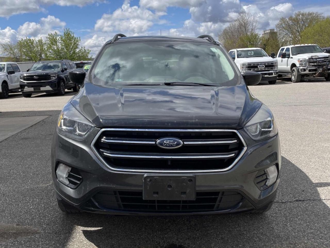 2018 Ford Escape Rare Escape   Sport Appearance   Pano Roof   Nav Photo