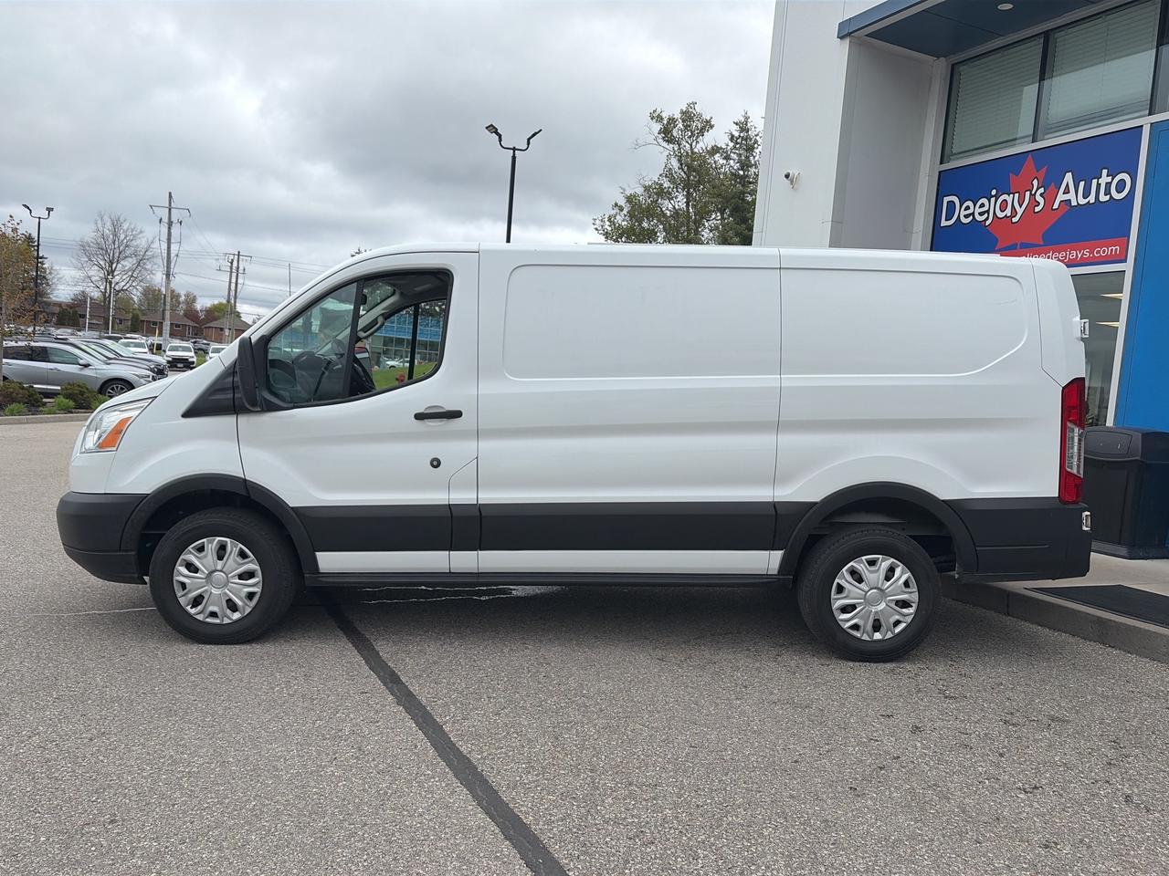 2019 Ford Transit Cargo Van  Photo