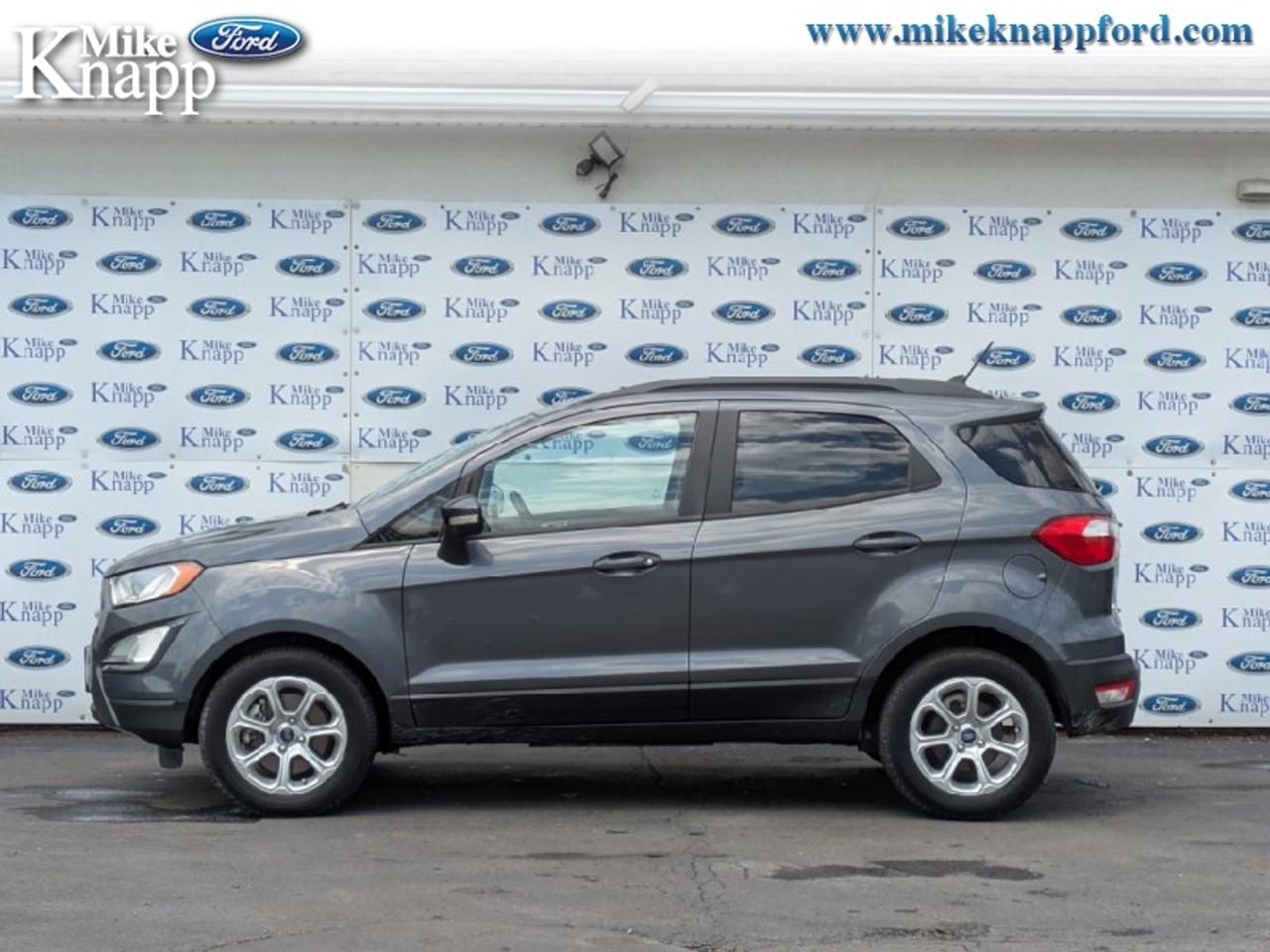 2019 Ford EcoSport SE FWD Photo