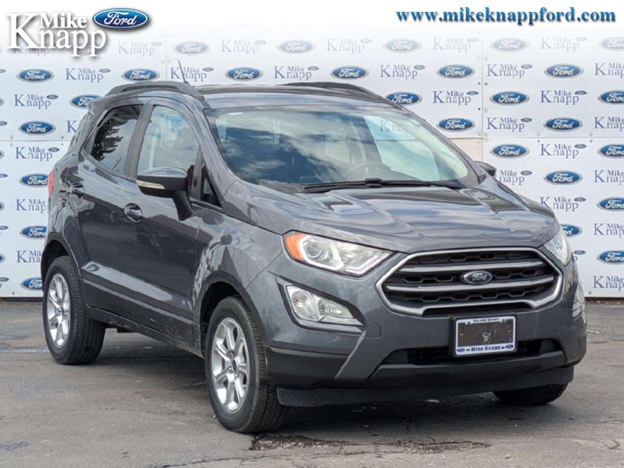 2019 Ford EcoSport SE FWD Photo