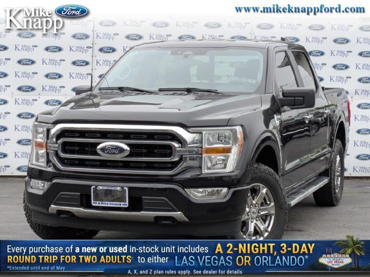 2023 Ford F-150 XLT Photo
