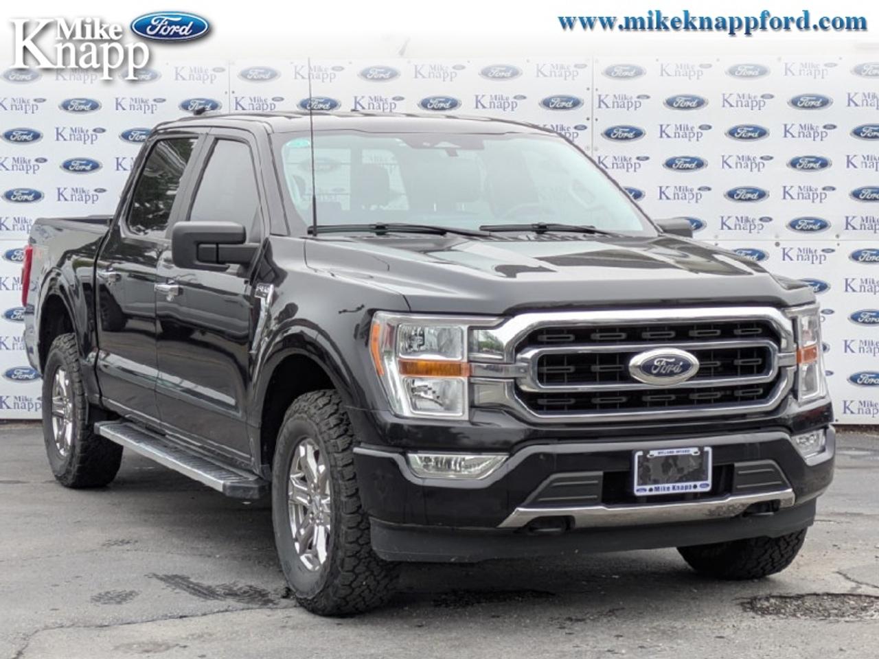 2023 Ford F-150 XLT Photo