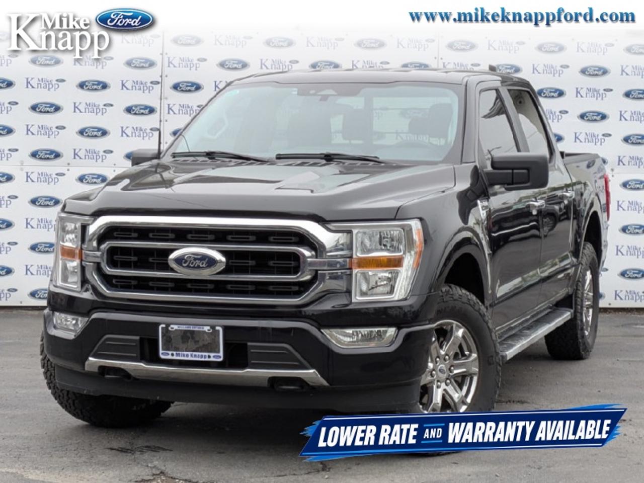2023 Ford F-150 XLT Photo0