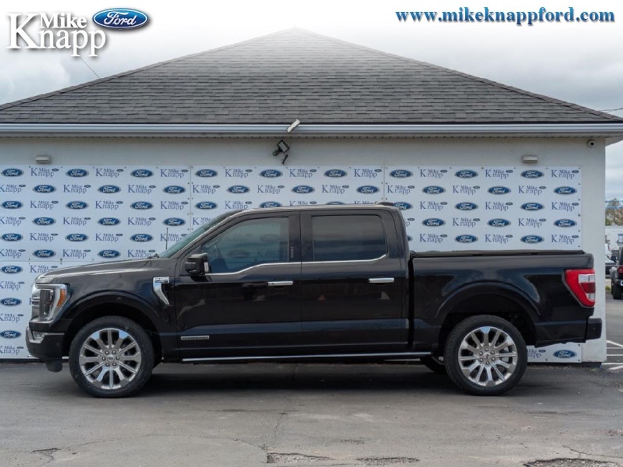 2022 Ford F-150 Limited  Photo