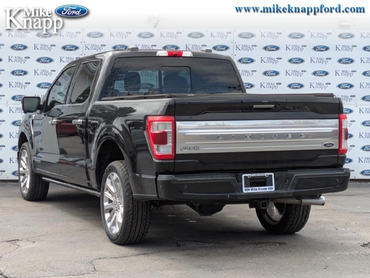 2022 Ford F-150 Limited  Photo