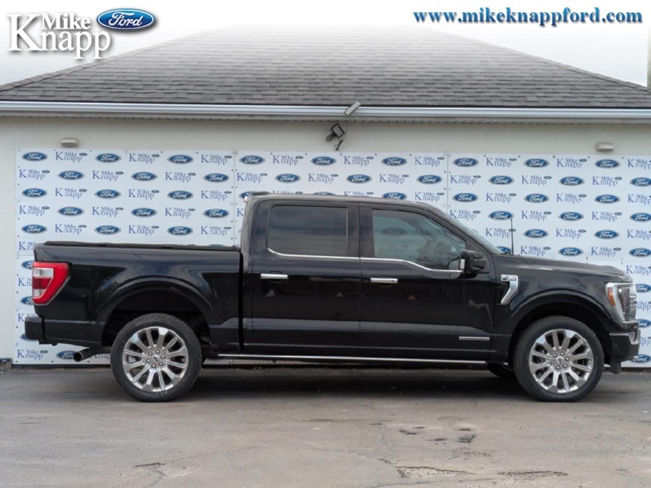 2022 Ford F-150 Limited  Photo