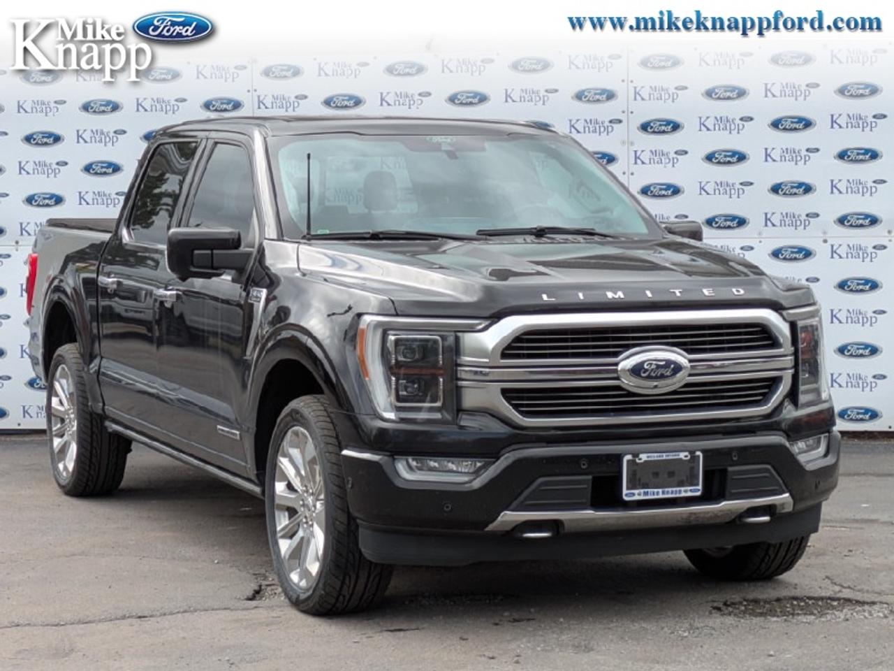 2022 Ford F-150 Limited  Photo