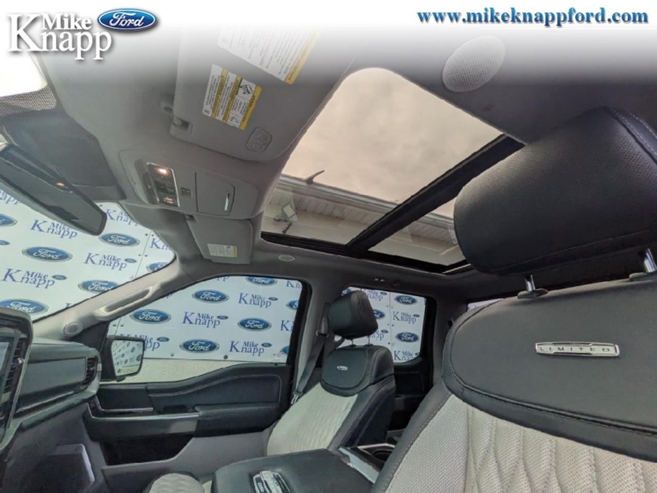 2022 Ford F-150 Limited  Photo