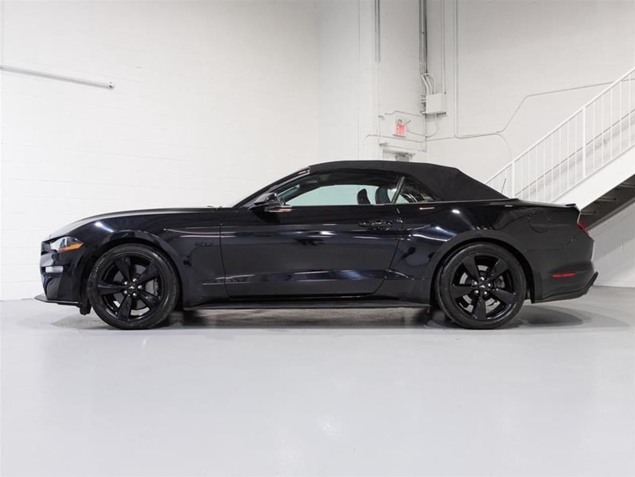 2022 Ford Mustang Convertible GT Premium Photo