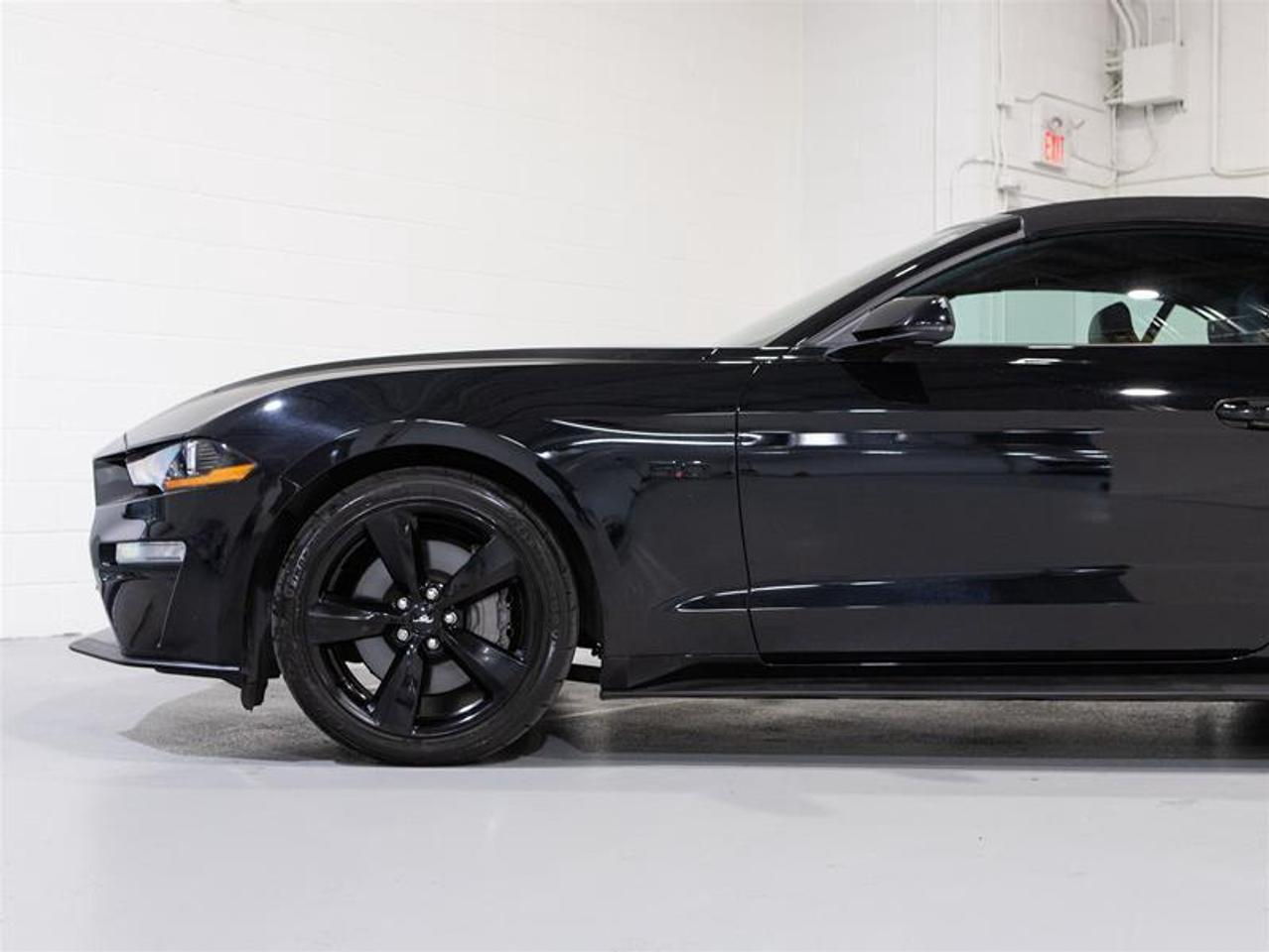 2022 Ford Mustang Convertible GT Premium Photo