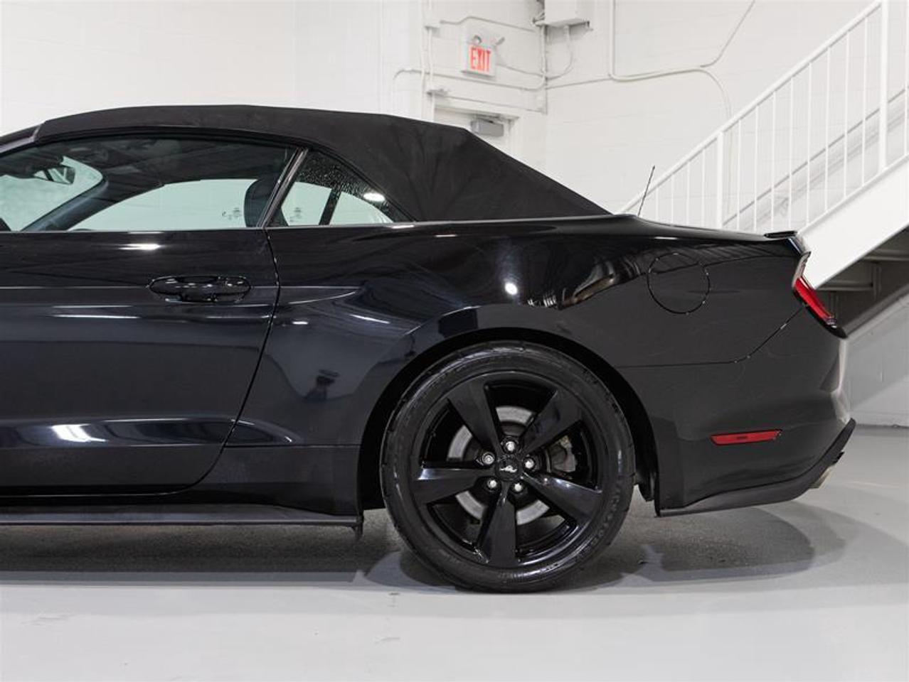 2022 Ford Mustang Convertible GT Premium Photo