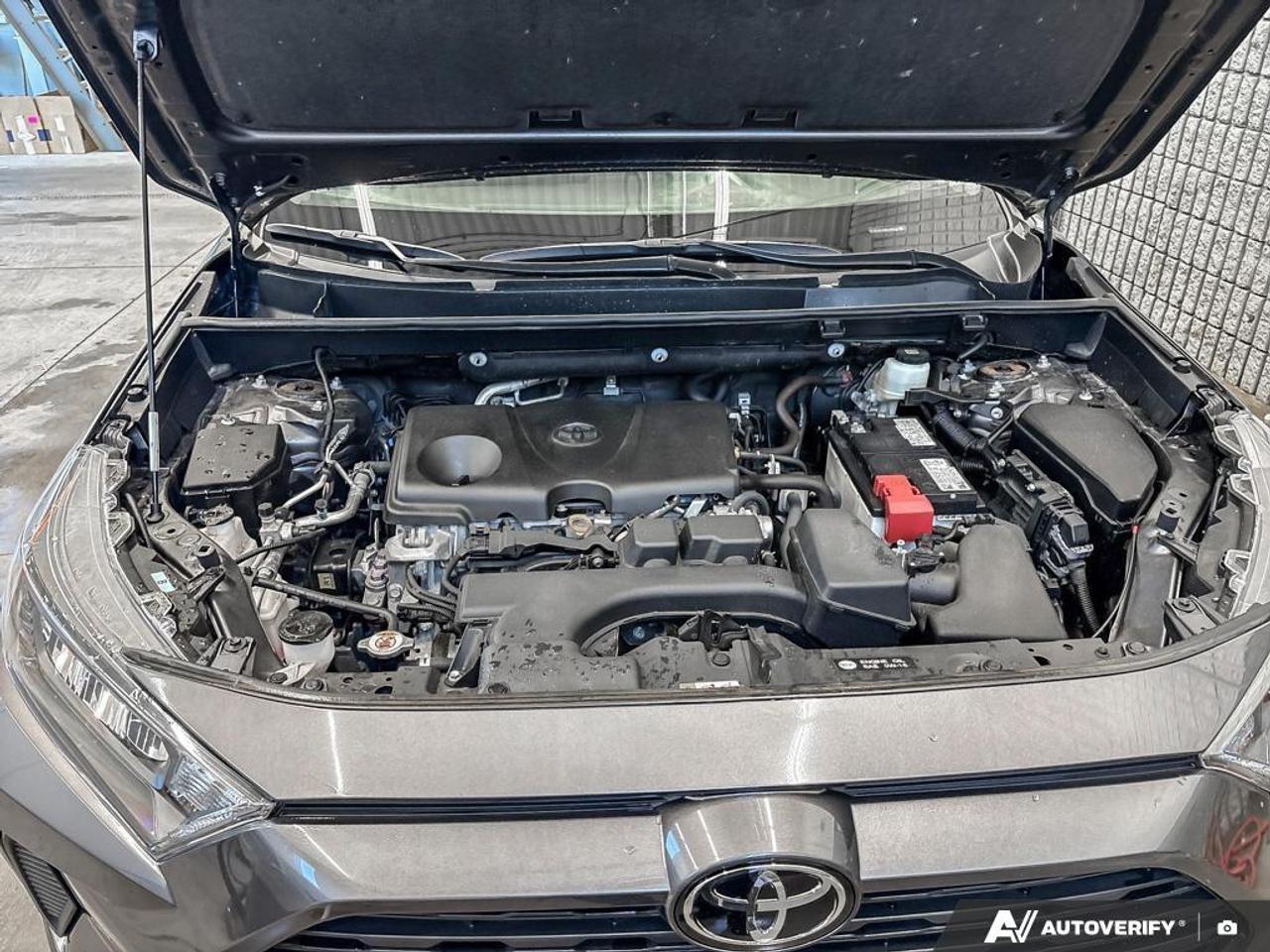 2024 Toyota RAV4 LE 4dr All-wheel Drive Photo