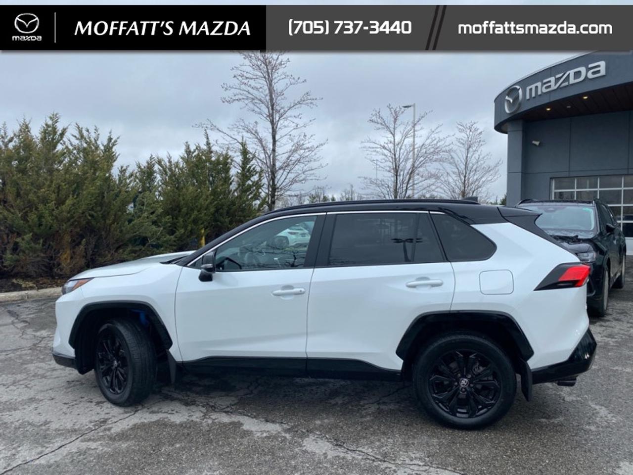 2025 Toyota RAV4 Hybrid XSE Photo