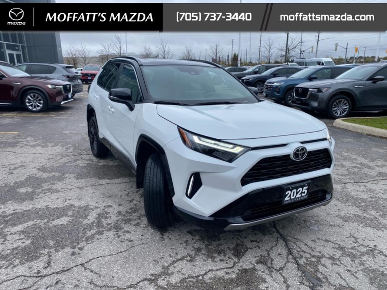 2025 Toyota RAV4 Hybrid XSE Photo
