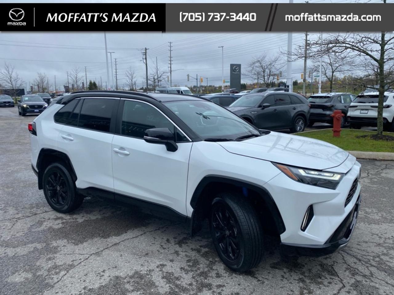 2025 Toyota RAV4 Hybrid XSE Photo