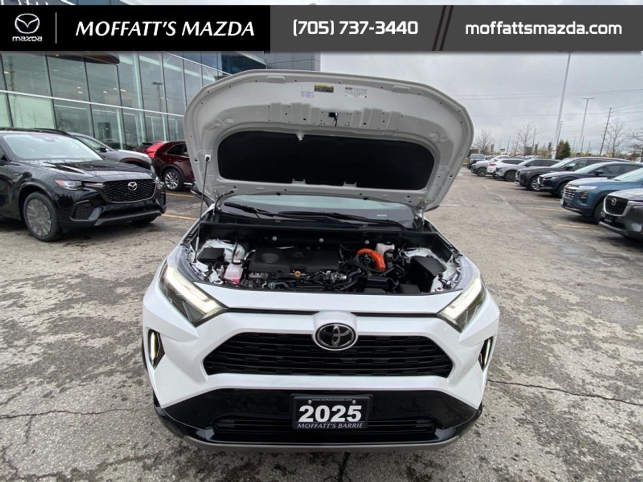 2025 Toyota RAV4 Hybrid XSE Photo
