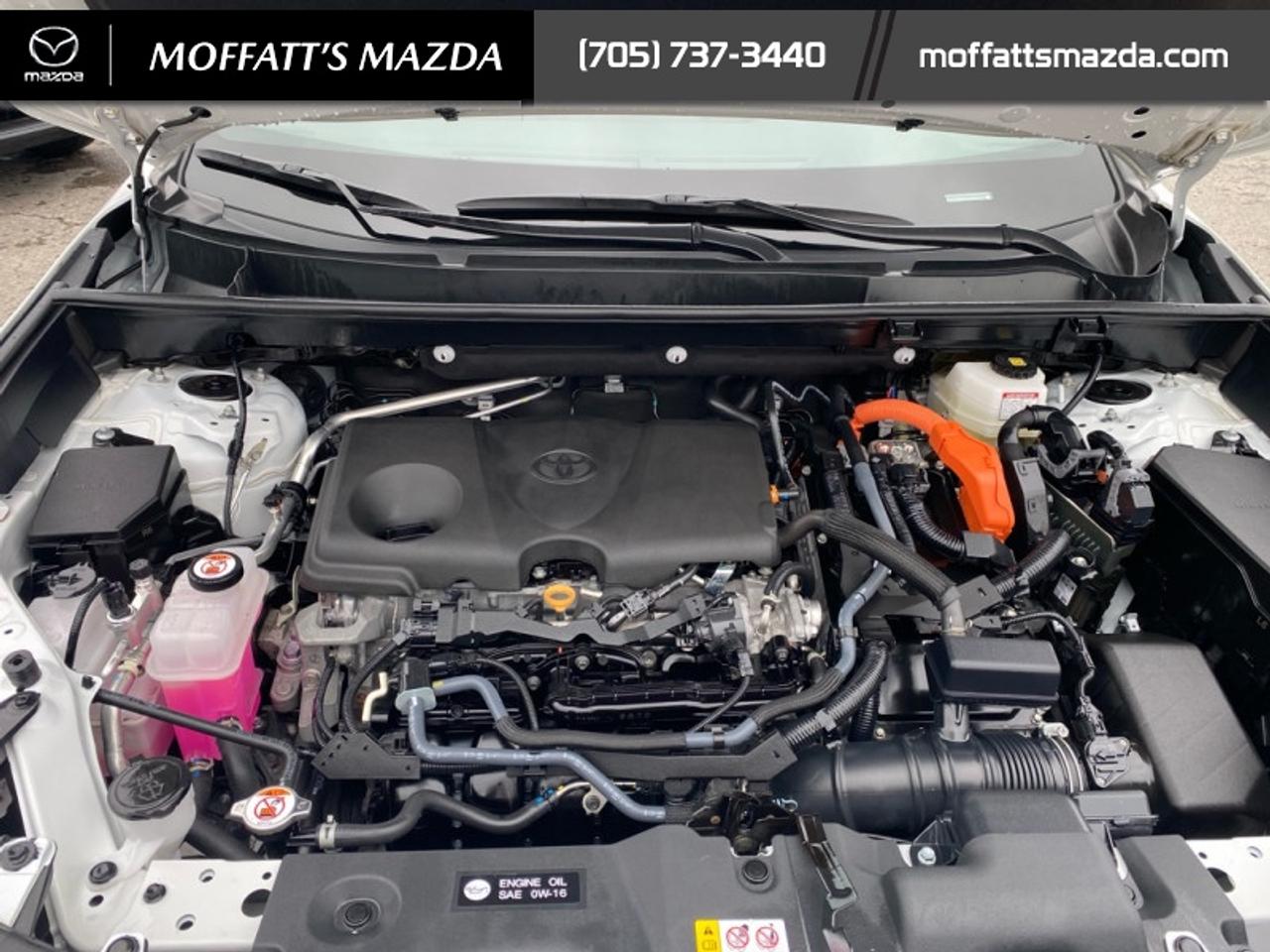 2025 Toyota RAV4 Hybrid XSE Photo