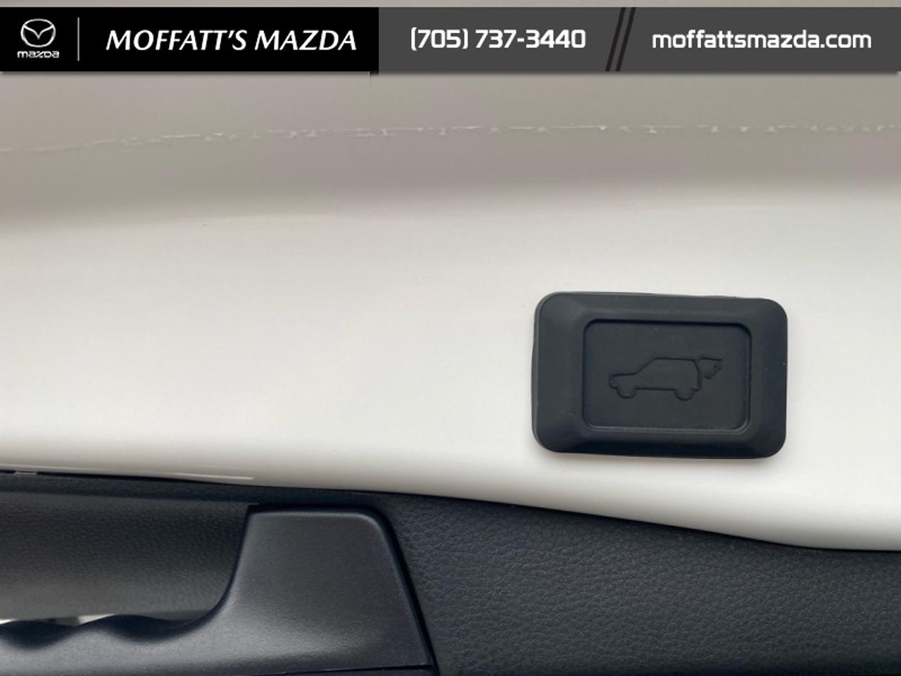 2025 Toyota RAV4 Hybrid XSE Photo