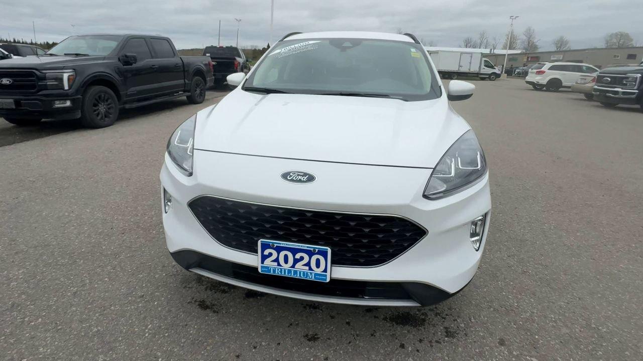2020 Ford Escape SEL Photo