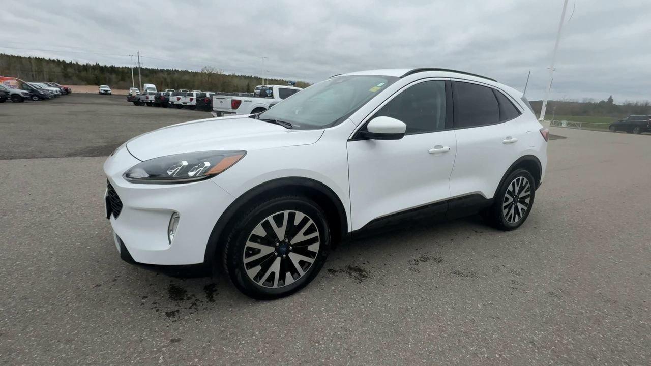 2020 Ford Escape SEL Photo