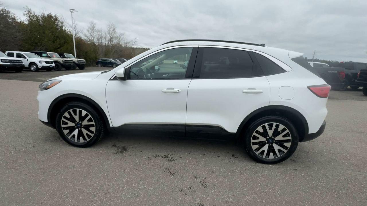2020 Ford Escape SEL Photo4