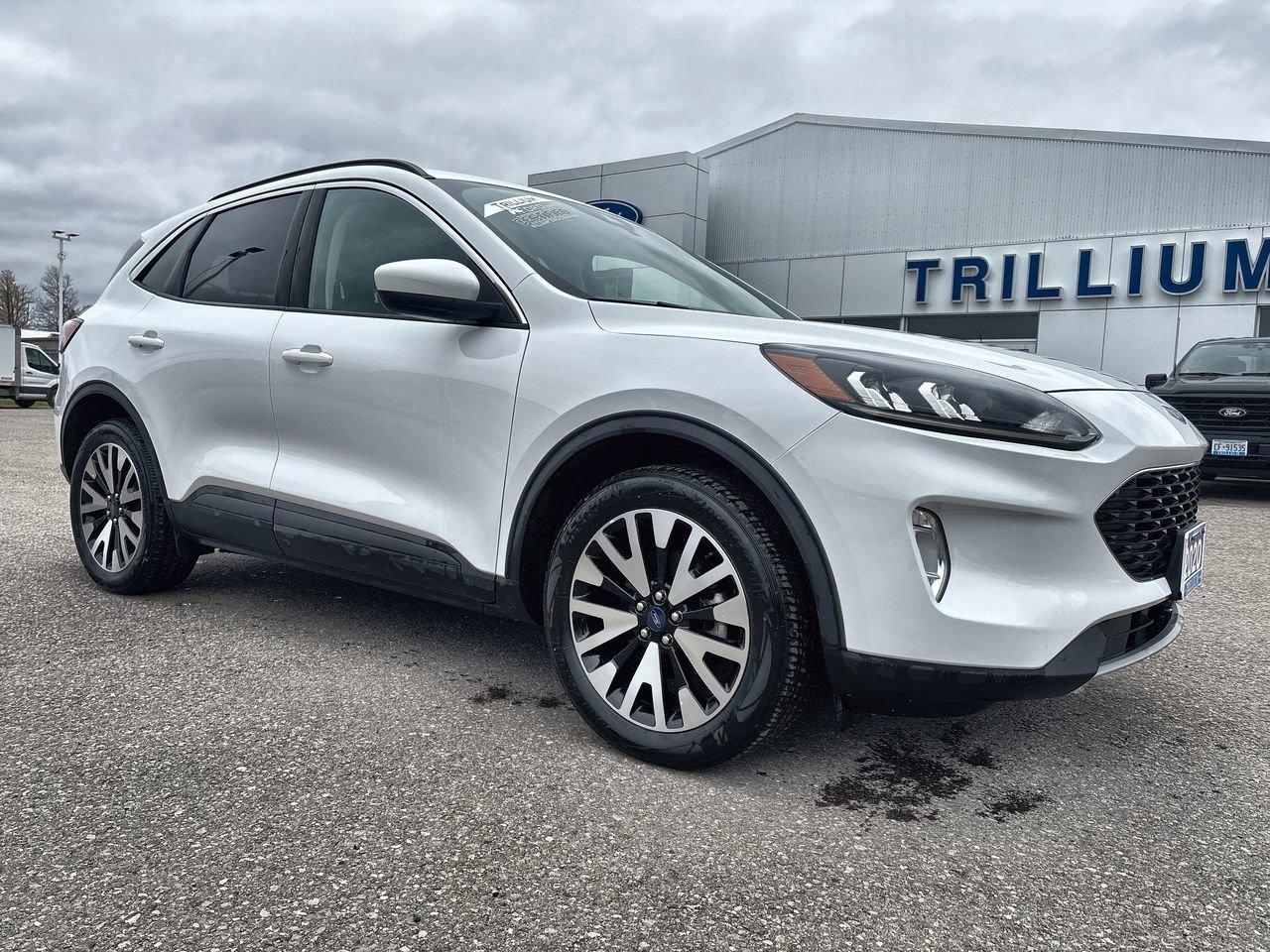 2020 Ford Escape SEL Photo