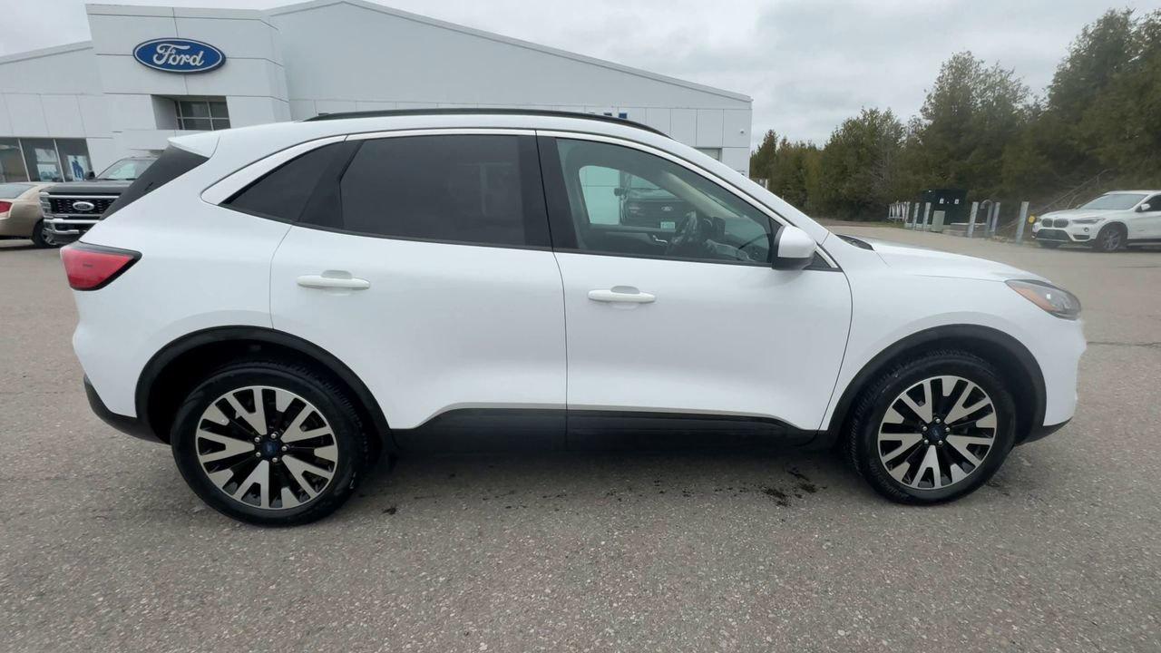 2020 Ford Escape SEL Photo