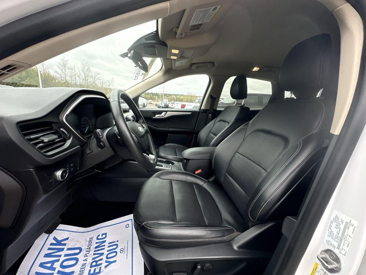 2020 Ford Escape SEL Photo