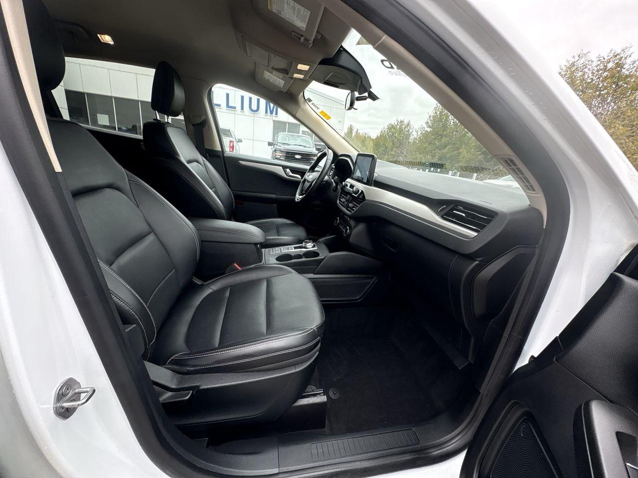 2020 Ford Escape SEL Photo