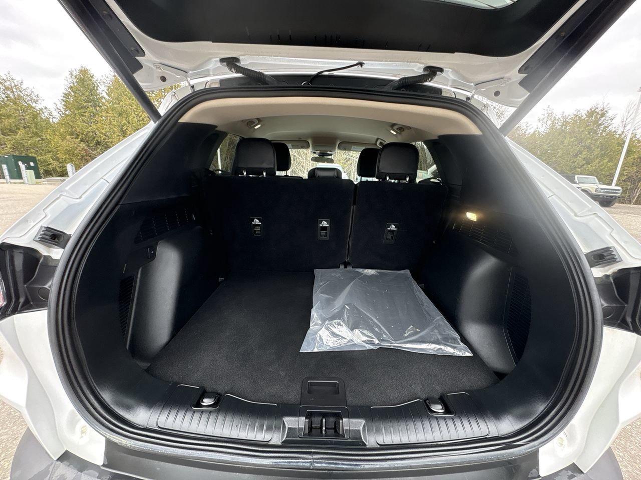 2020 Ford Escape SEL Photo