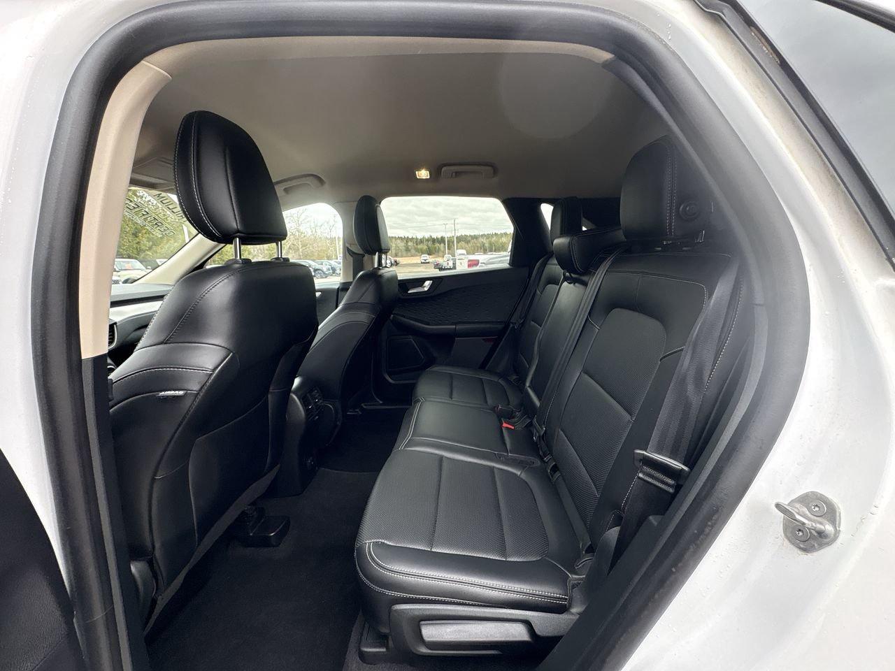 2020 Ford Escape SEL Photo