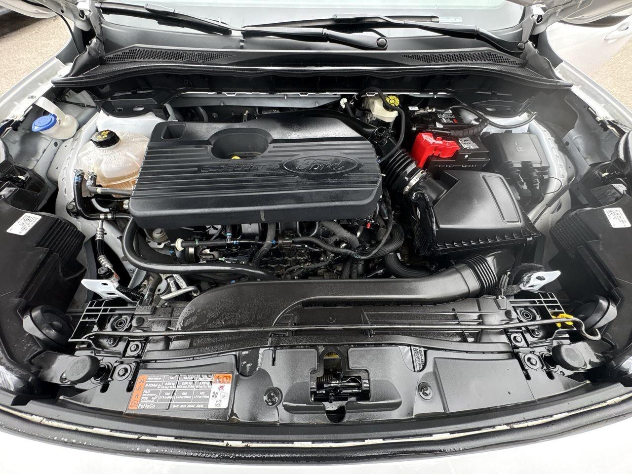 2020 Ford Escape SEL Photo