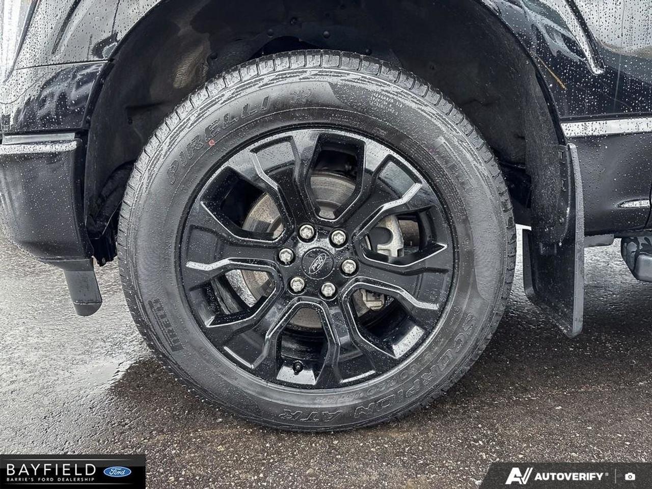 2022 Ford F-150  Photo