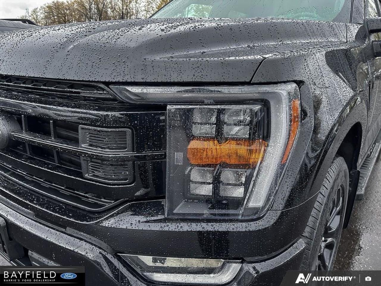 2022 Ford F-150  Photo
