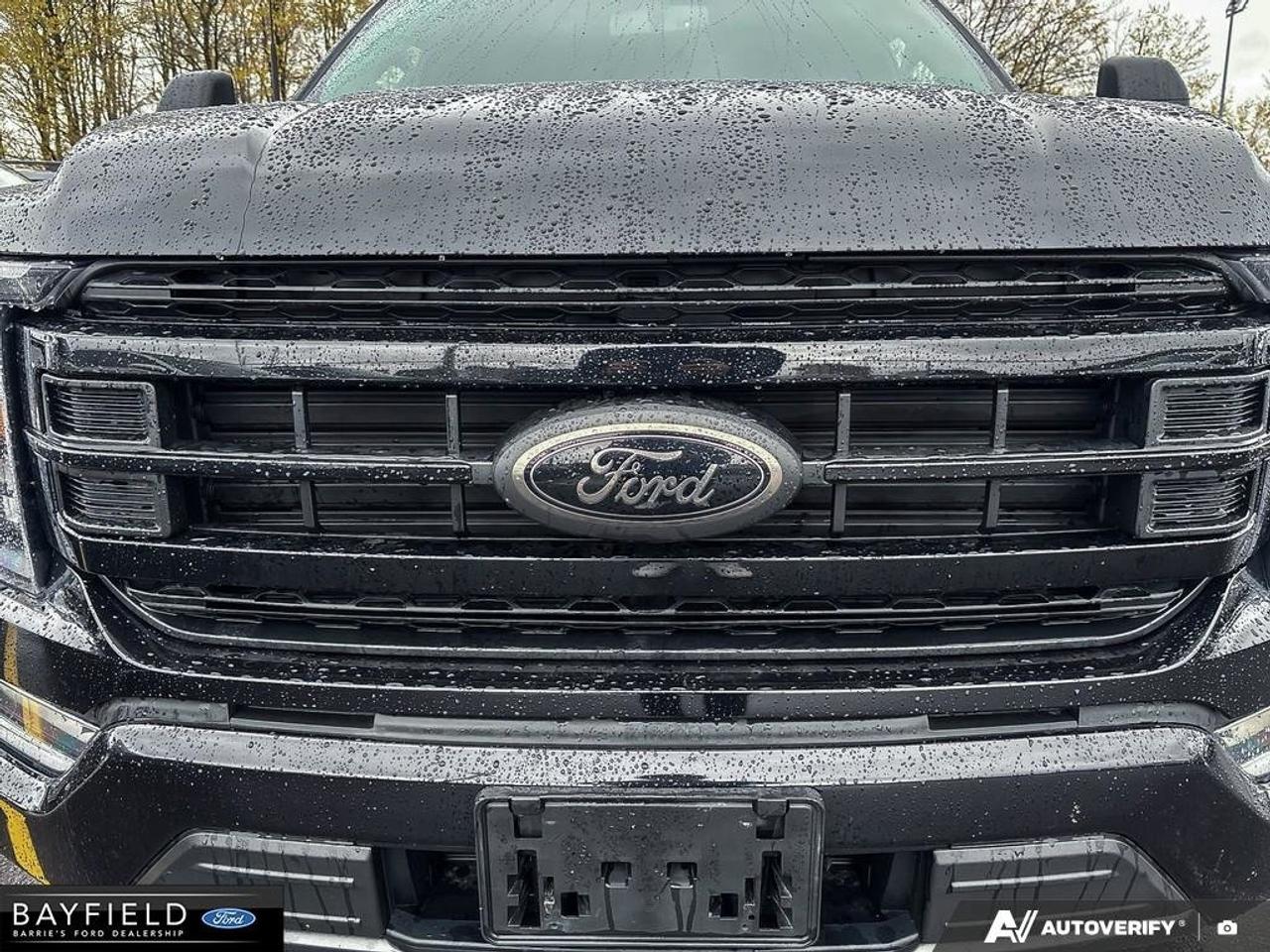 2022 Ford F-150  Photo