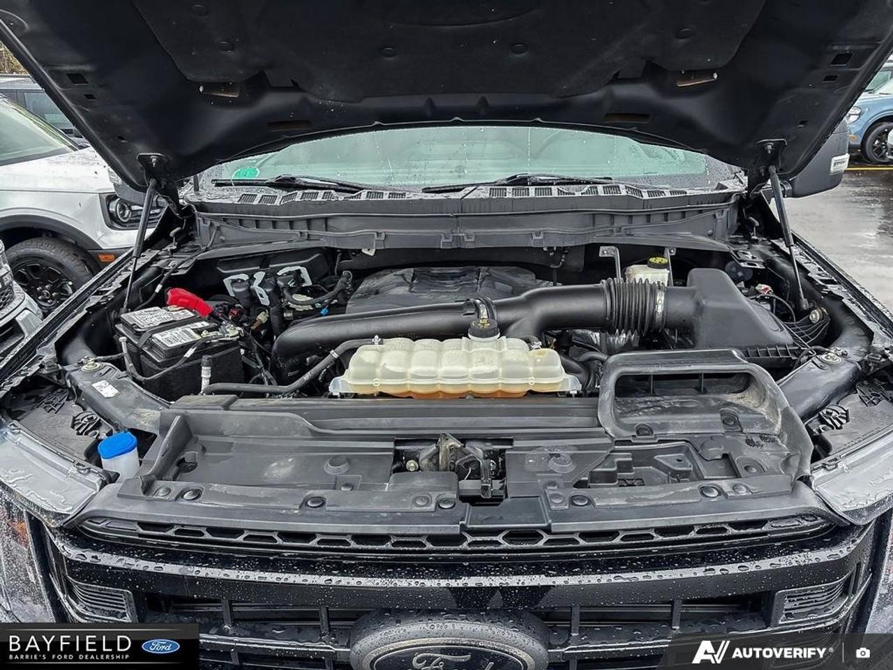 2022 Ford F-150  Photo