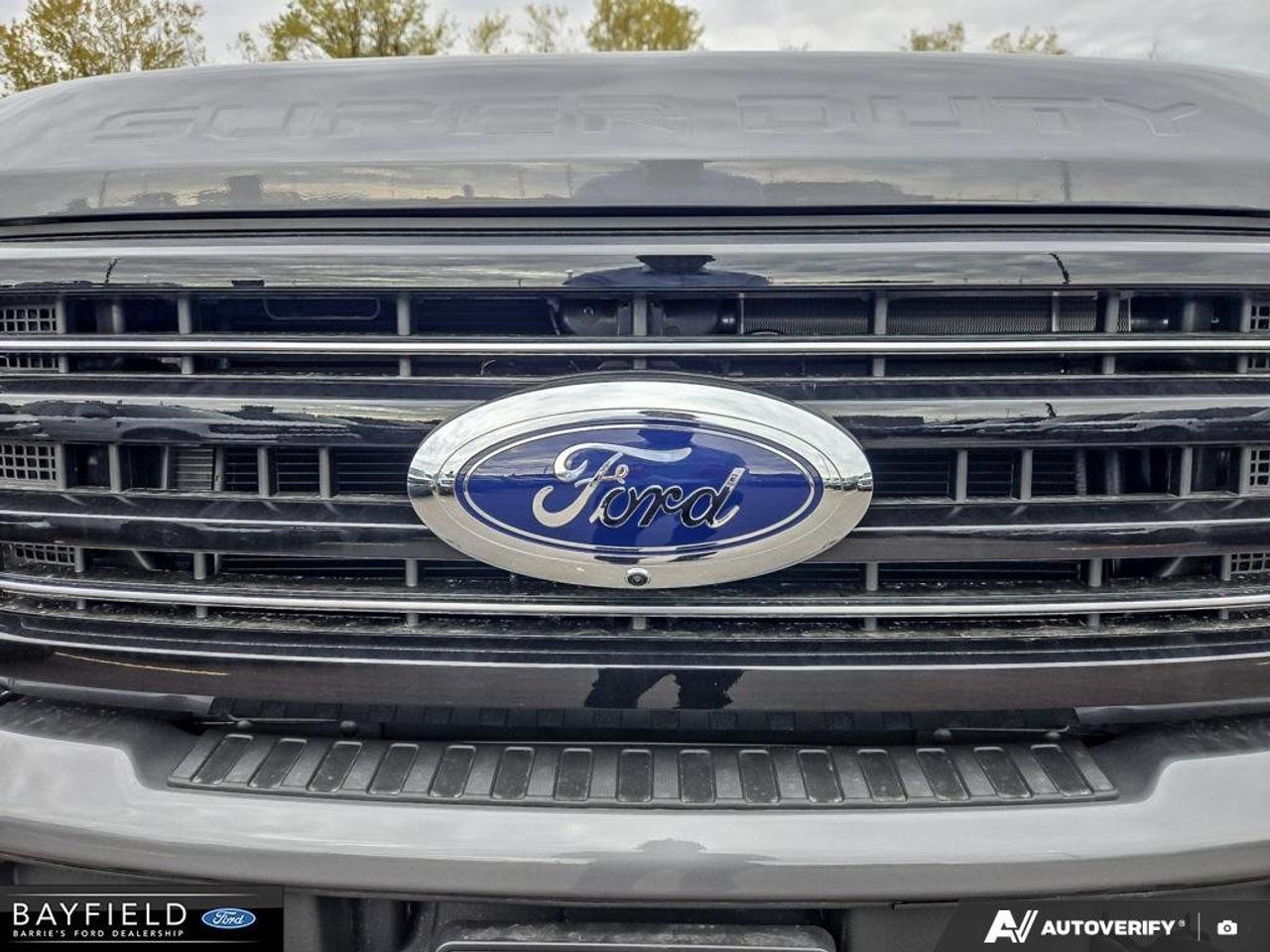 2026 Ford SUPER DUTY F-250 SRW Platinum 4WD Crew Cab 6.75' Box Photo