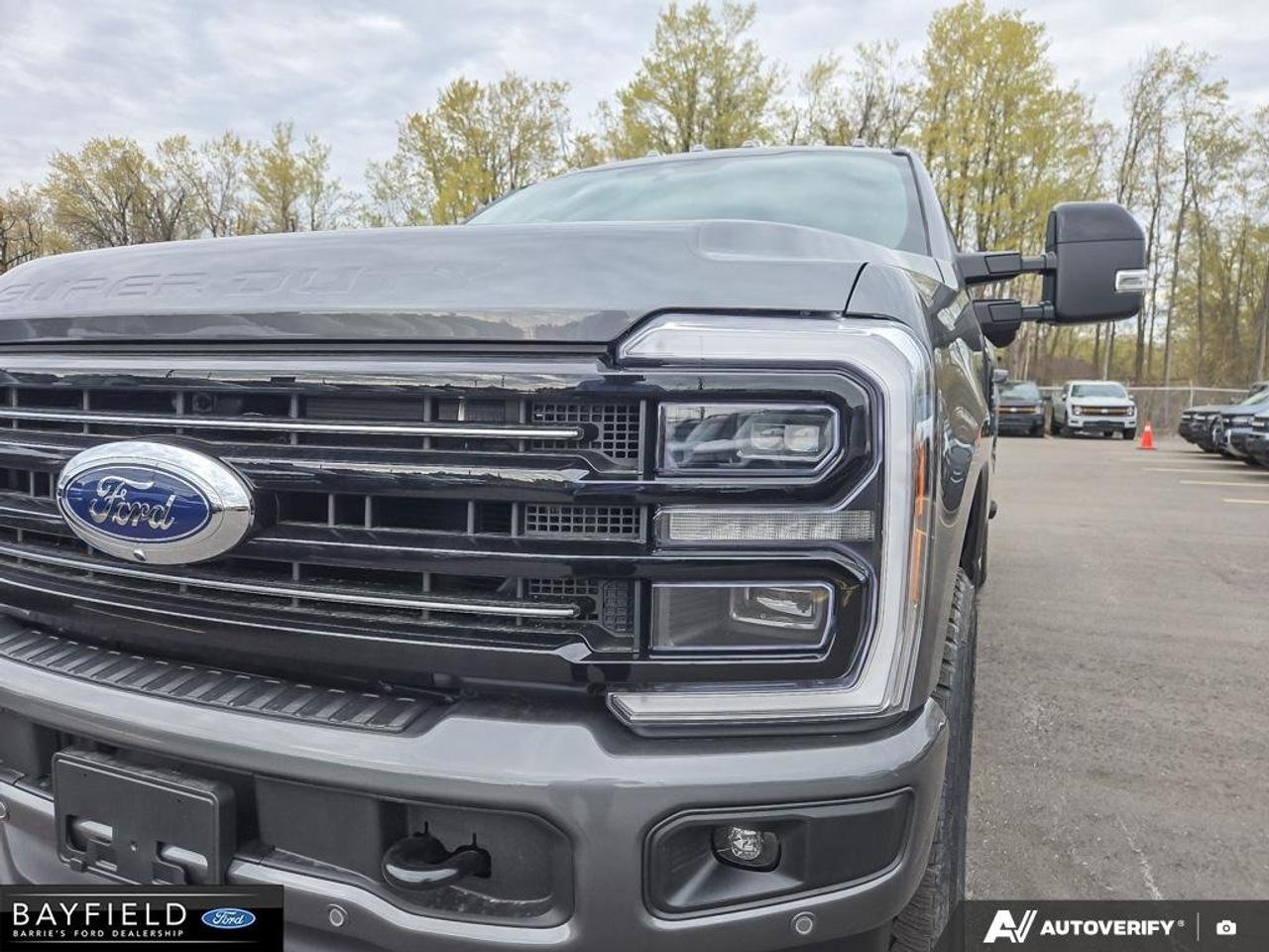 2026 Ford SUPER DUTY F-250 SRW Platinum 4WD Crew Cab 6.75' Box Photo