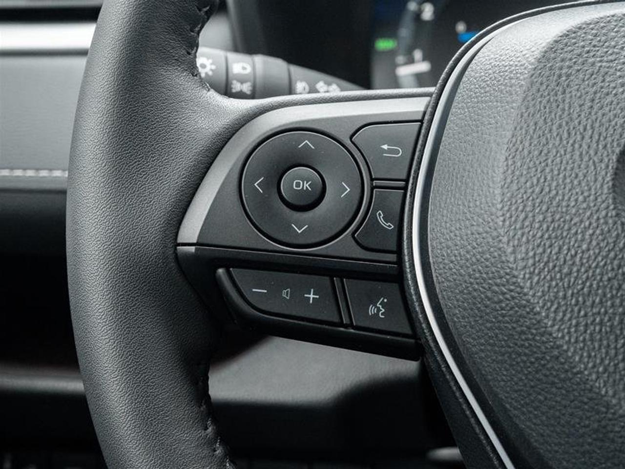 2025 Toyota RAV4 Limited AWD Sunroof | JBL Audio | Vented Seats | Front Cam | AWD Photo