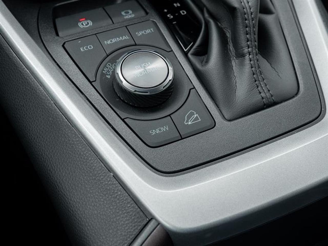 2025 Toyota RAV4 Limited AWD Sunroof | JBL Audio | Vented Seats | Front Cam | AWD Photo