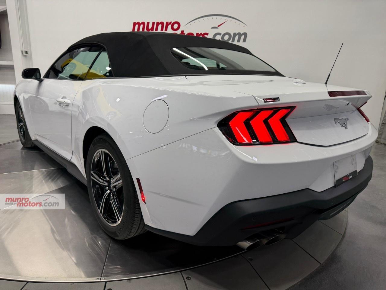 2024 Ford Mustang EcoBoost Premium Convertible Photo