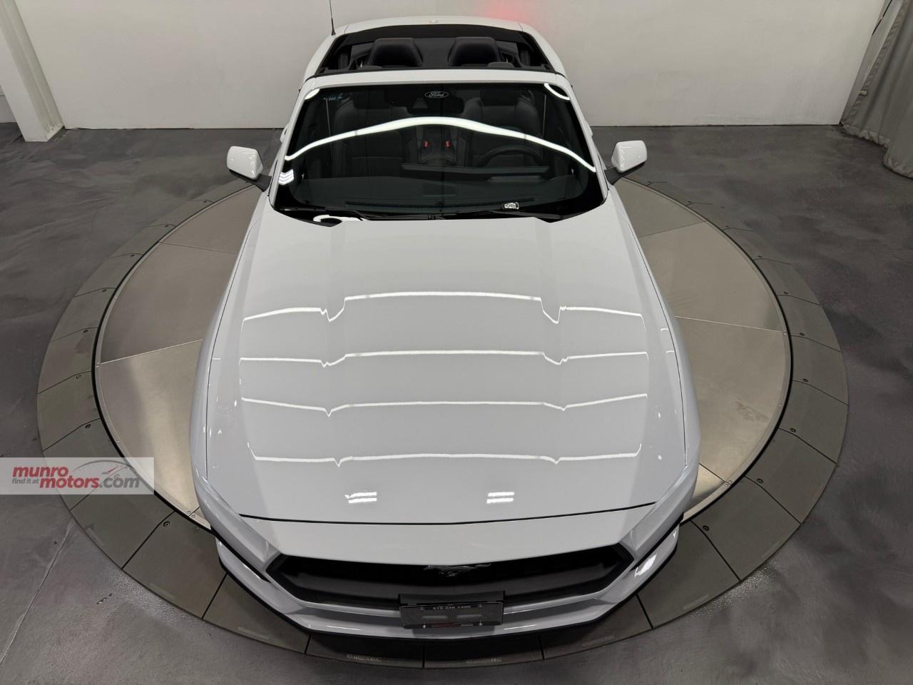 2024 Ford Mustang EcoBoost Premium Convertible Photo