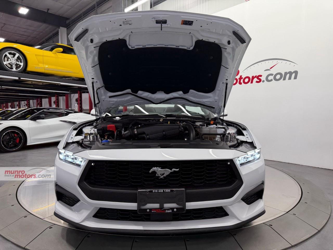 2024 Ford Mustang EcoBoost Premium Convertible Photo