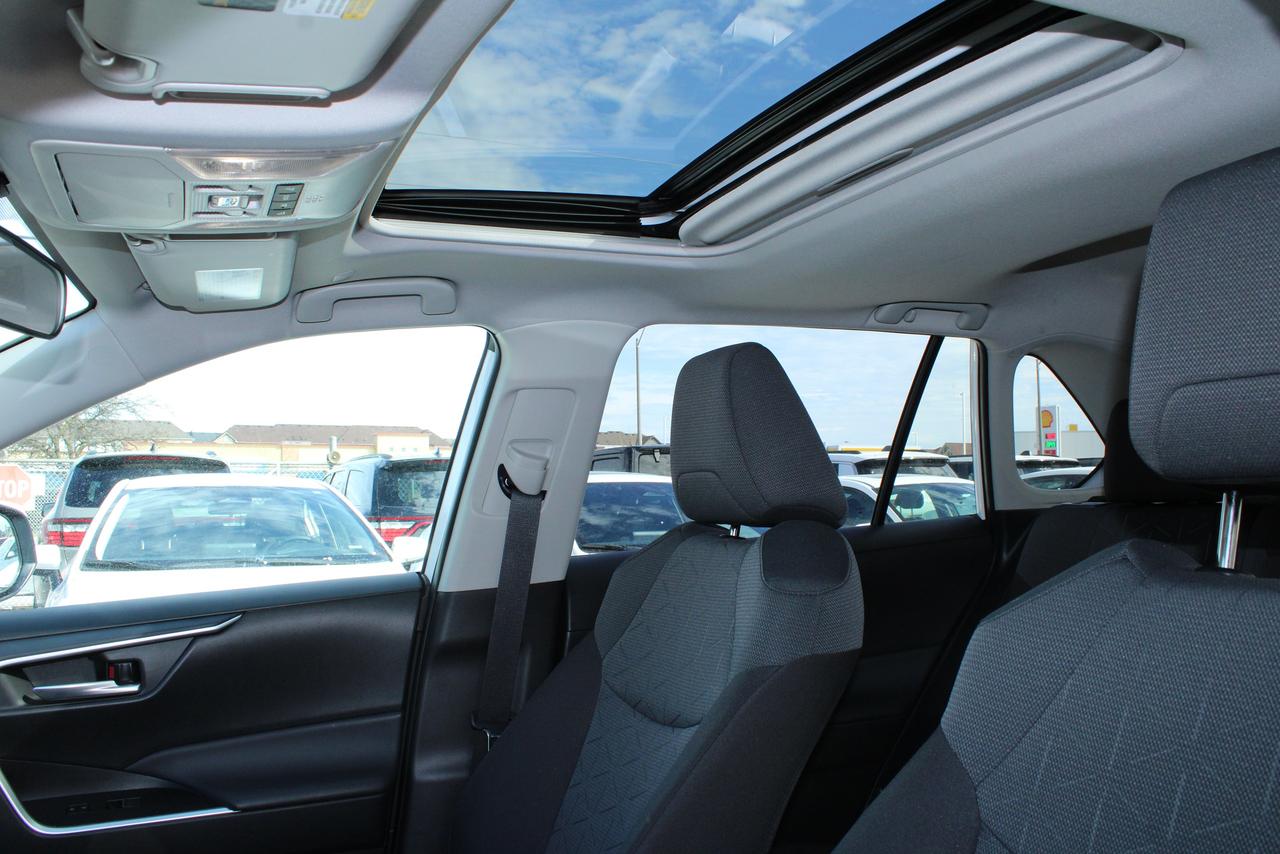 2025 Toyota RAV4 XLE AWD Photo