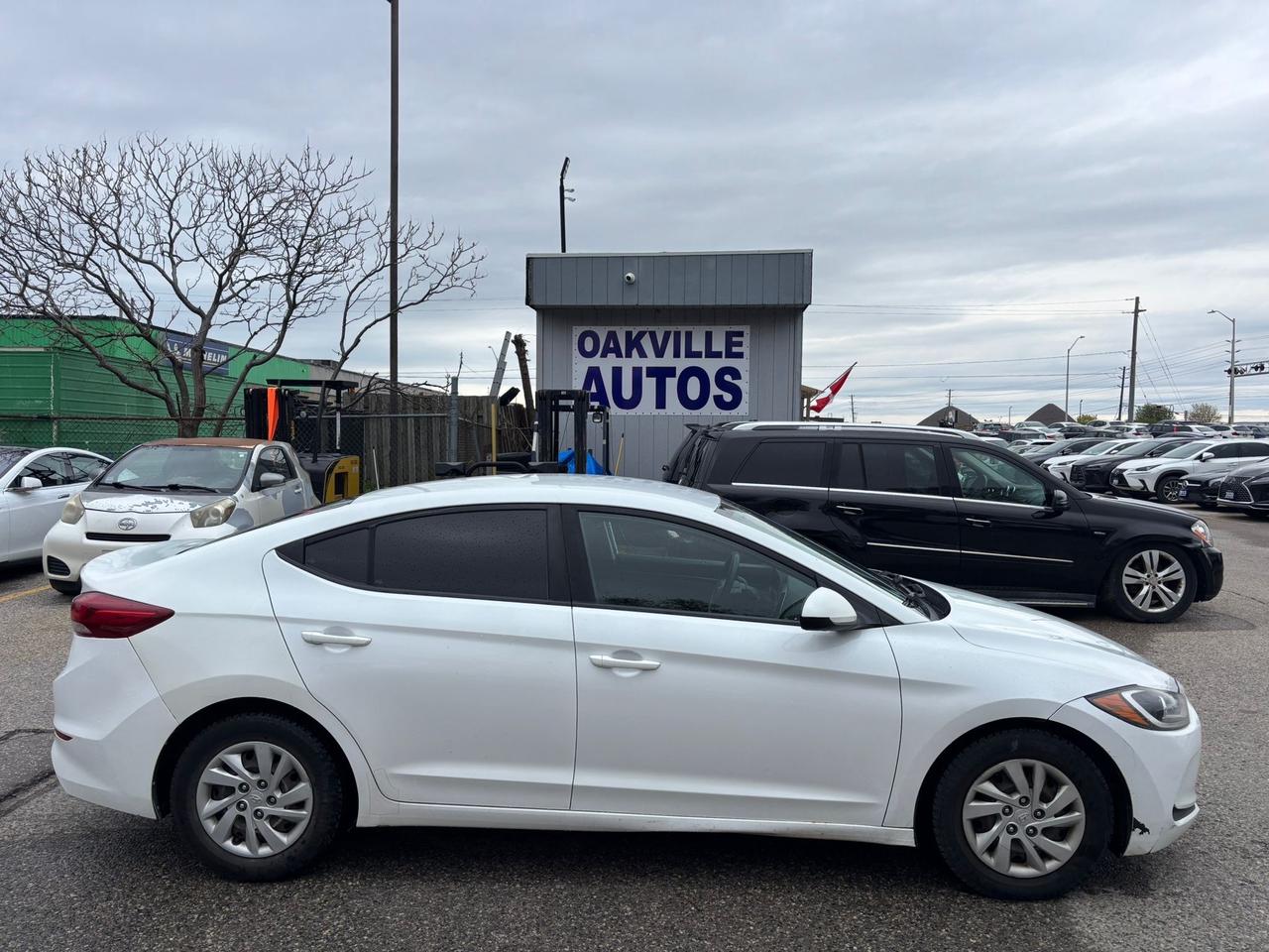 2017 Hyundai Elantra 4DR SDN AUTO LE Photo