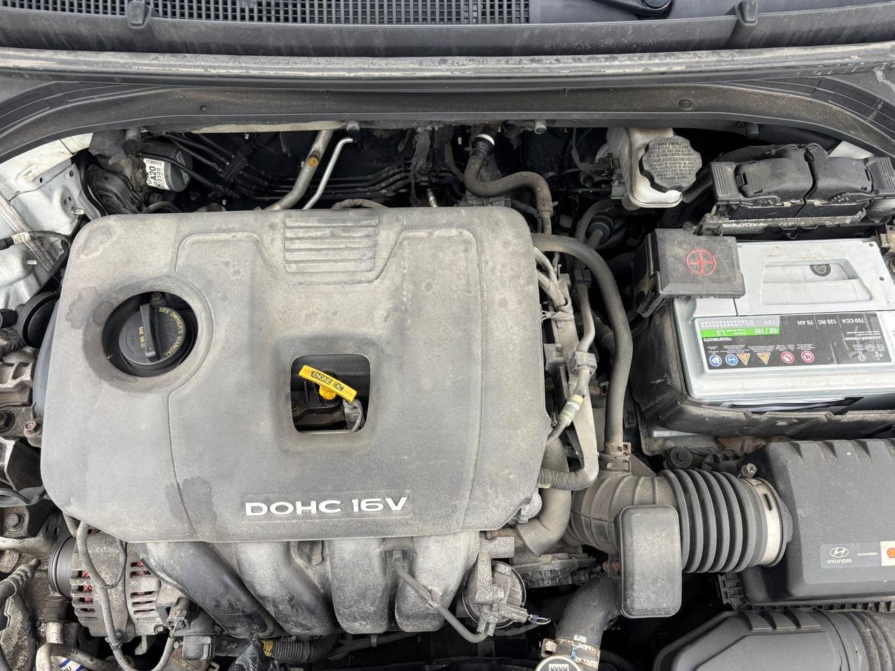 2017 Hyundai Elantra 4DR SDN AUTO LE Photo