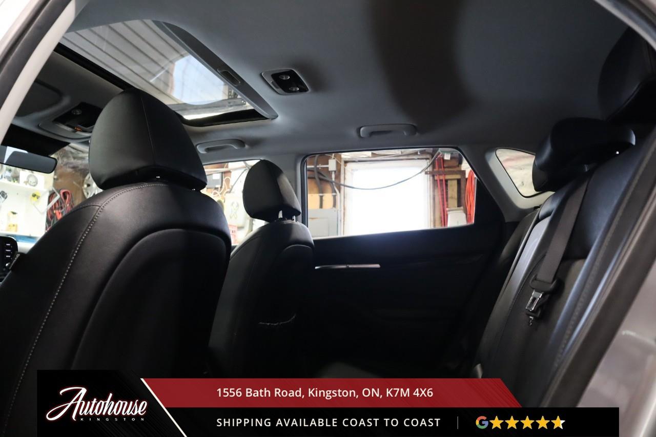 2024 Kia Seltos EX LEATHER - SUNROOF Photo