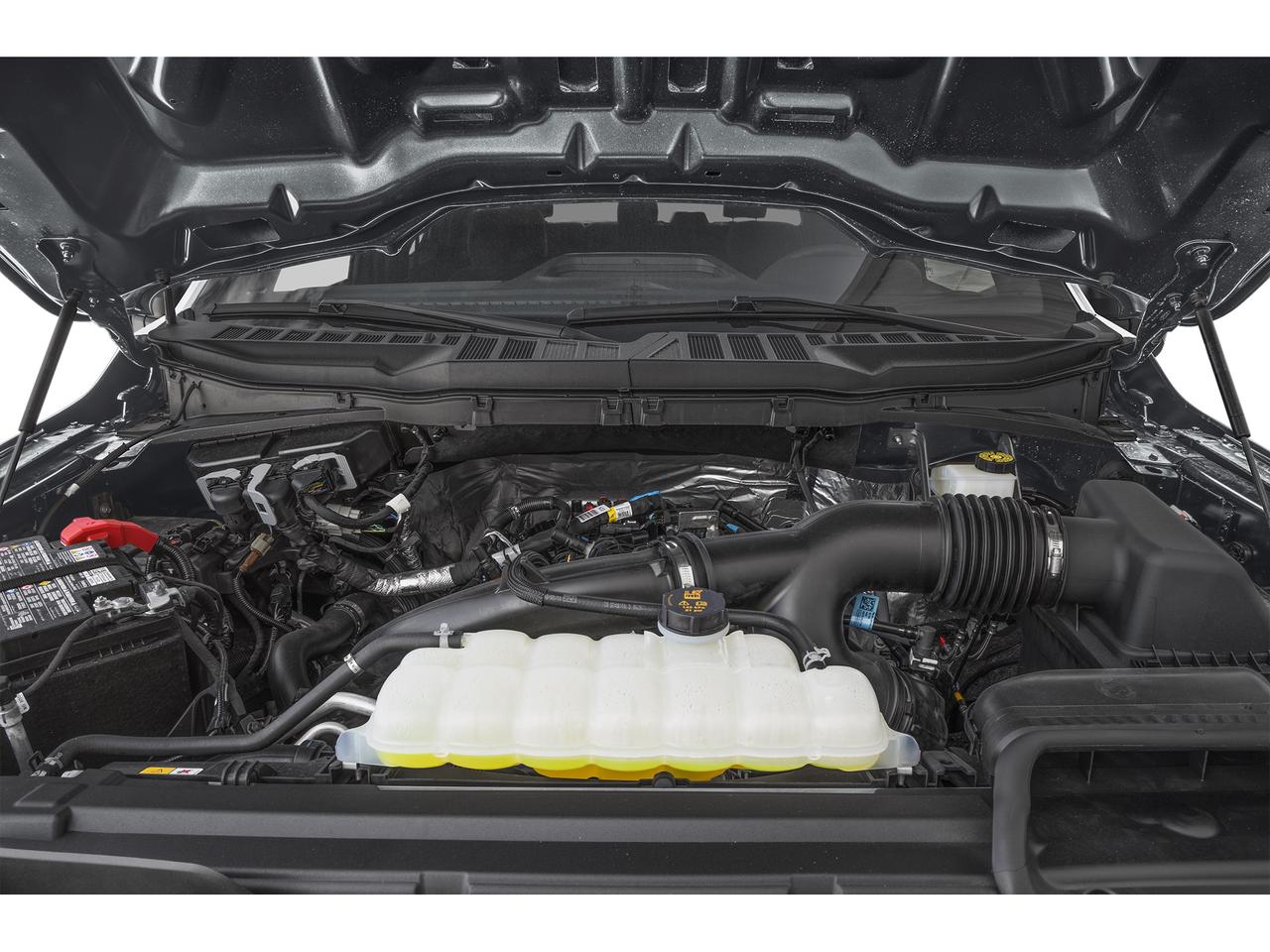 2024 Ford F-150 STX 4WD SuperCrew 5.5' Box Photo