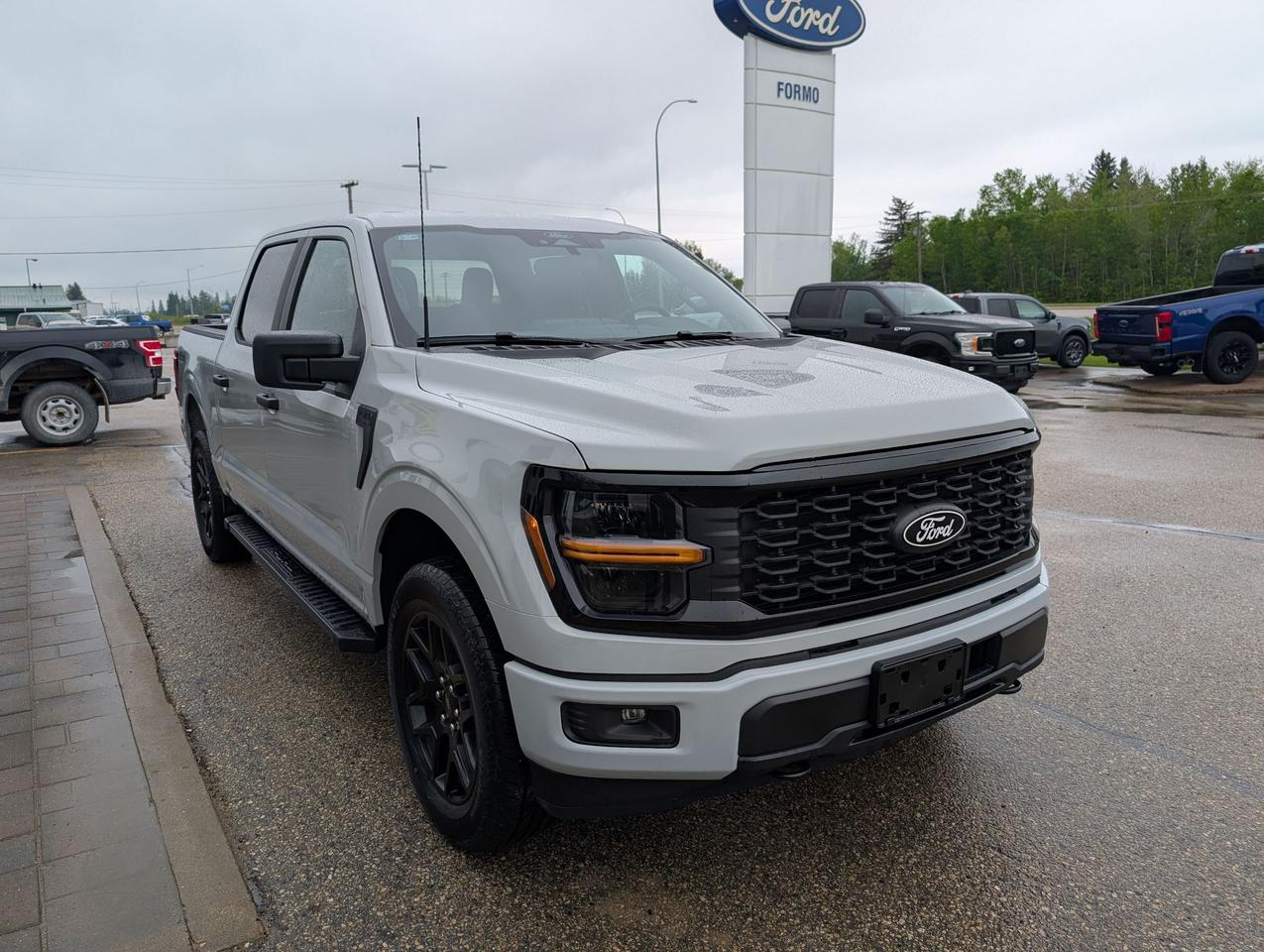 2026 Ford F-150 STX Photo3